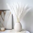 Dried Mini Pampas Grass (10pcs) - 2