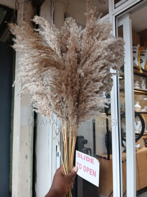 Kikapu cha Pampas Grass Mini Kavu - Mapambo ya Boho Asili | 10 Shina - 1
