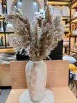 Dried Mini Pampas Grass Bunch - Natural Boho Decor | 10 Stems - 2