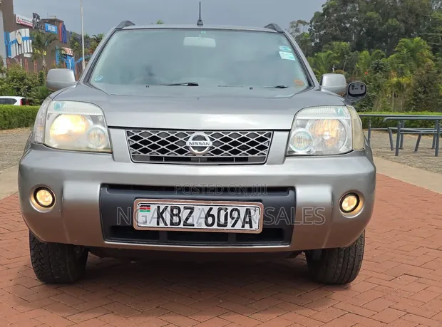 Nissan X-Trail 2007 Gray - 1