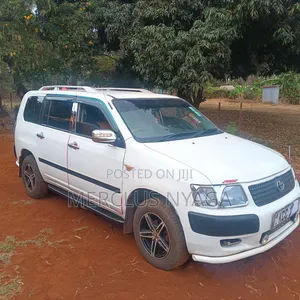 Toyota Succeed 2008 Nyeupe