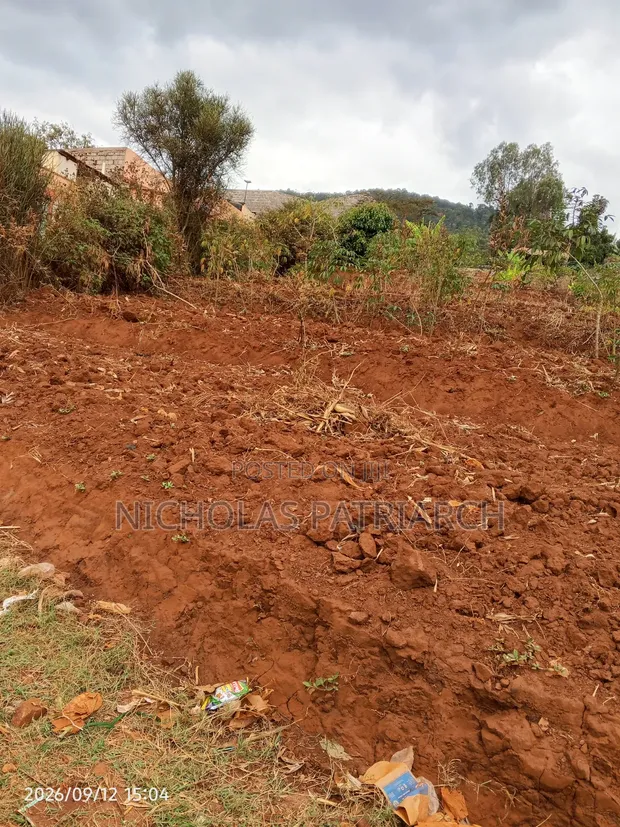 100x100 Plot for Sale in Machakos (Mulala) - 1