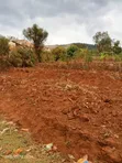 100x100 Plot for Sale in Machakos (Mulala) - 3