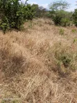 Eneo la 1.5 Eka linauzwa Masii, Kaunti ya Machakos - 1