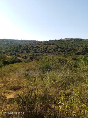 20 Acres Land for Sale in Masii, Machakos County