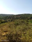 20 Acres Land for Sale in Masii, Machakos County - 1