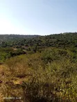 20 Acres Land for Sale in Masii, Machakos County - 2