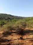 20 Acres Land for Sale in Masii, Machakos County - 3