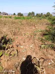 2 Acres Kola, Machakos County - Per Acre Sale - 1