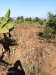 2 Acres Kola, Machakos County - Per Acre Sale - 2