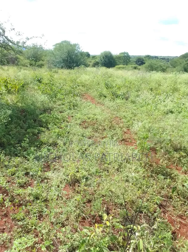 100 Acres Emali, Mombasa Road Frontage - KES 2.8M/Acre - 1