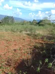 100 Acres Emali, Mombasa Road Frontage - KES 2.8M/Acre - 3