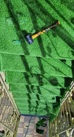Robertson's Grass Carpets kwa Stairs - Mpya Kabisa