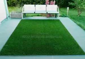 Robertson's Premium Environmental Friendly Grass Carpet