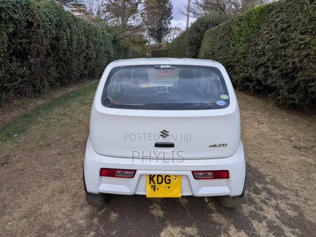 2015 Suzuki Alto Automatic - 1