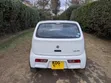 2015 Suzuki Alto Automatic - 1