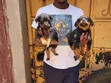 Purebred Rottweiler Puppy (1-3 Months) - 2