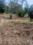 5.2 Acres Prime Land for Sale in Chuka, Meru - 1