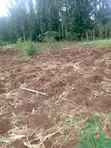 5.2 Acres Prime Land for Sale in Chuka, Meru - 2