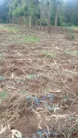 5.2 Acres Prime Land for Sale in Chuka, Meru - 3