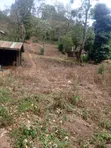 5.2 Acres Prime Land for Sale in Chuka, Meru - 4