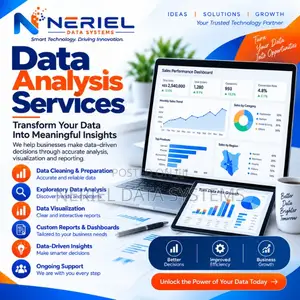 Professional Data Analysis Services
