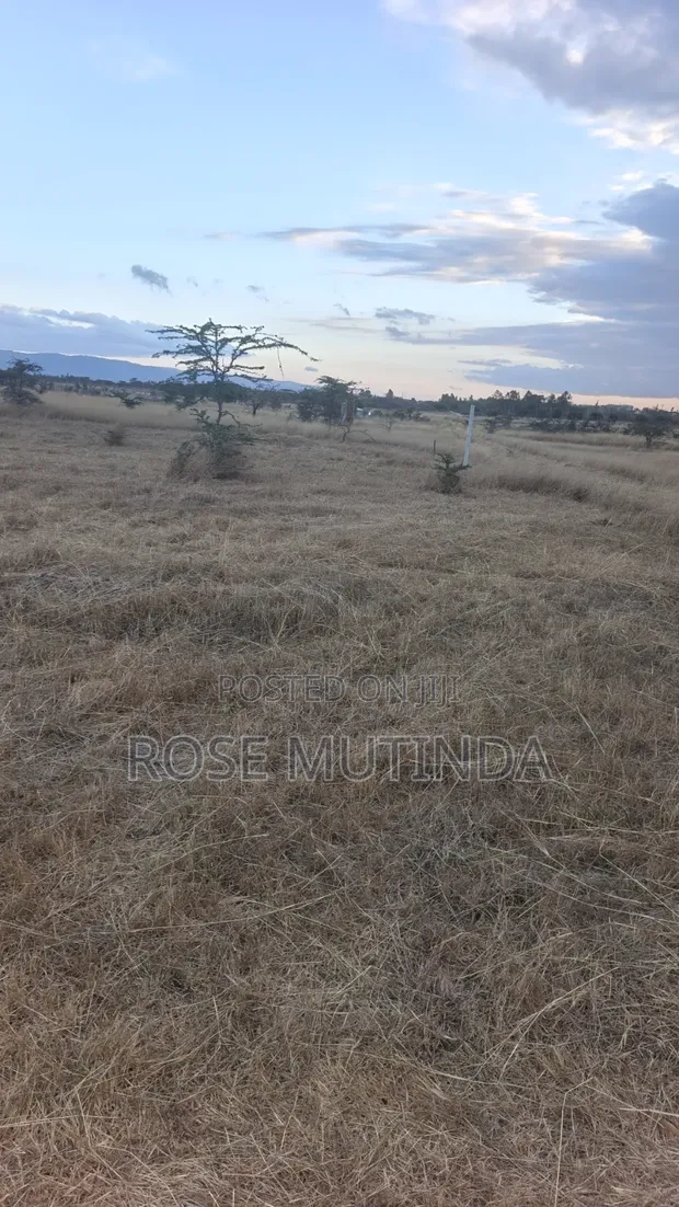 50x100 Plot for Sale in Koma - 1