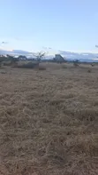 50x100 Plot for Sale in Koma - 2