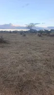 50x100 Plot for Sale in Koma - 3