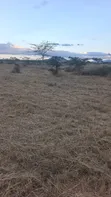 50x100 Plot for Sale in Koma - 5