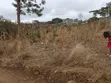 Ardhi 50x100 Inauzwa Gatuanyaga, Thika, Kiambu - 2