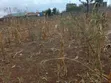 Ardhi 50x100 Inauzwa Gatuanyaga, Thika, Kiambu - 4