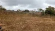 Ardhi 50x100 Inauzwa Gatuanyaga, Thika, Kiambu - 5