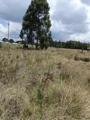 10 Acres Prime Land for Sale in Kasuku, Nyahururu