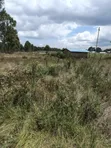 Eneo la Eka 10 za Kipekee kwa Uuzaji Kasuku, Nyahururu - 3