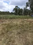 Eneo la Eka 10 za Kipekee kwa Uuzaji Kasuku, Nyahururu - 4