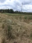 Eneo la Eka 10 za Kipekee kwa Uuzaji Kasuku, Nyahururu - 5