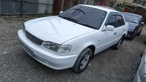 Toyota Corolla 2000 Nyeupe