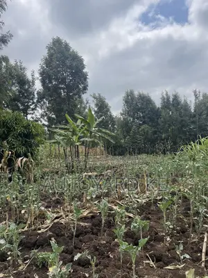 Nusu Eka ya Ardhi Inauzwa Ngong Town, Barabara ya Ngere