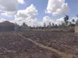 Prime 1/4 Acre Plot - North View Estate, Utawala - 3