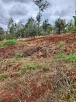 2 Acres Gatundu (Githaruru) Land for Sale - 2