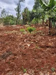 2 Acres Gatundu (Githaruru) Land for Sale - 4