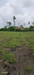 Plot for Sale in Juja Athi (50x100) - 2