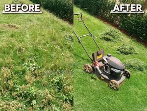 Gardener/Compound Care - Monifa Garden Services