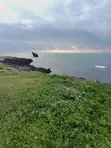 5 Acres Beachfront Land in Malindi - 1