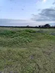 5 Acres Beachfront Land in Malindi - 2