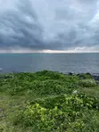 5 Acres Beachfront Land in Malindi - 3
