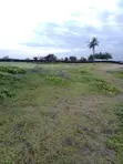 5 Acres Beachfront Land in Malindi - 4