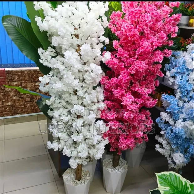 Cherry Blossom Plant - Pink & White - 1