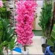 Mti wa Cherry Blossom - Pink & White - 2